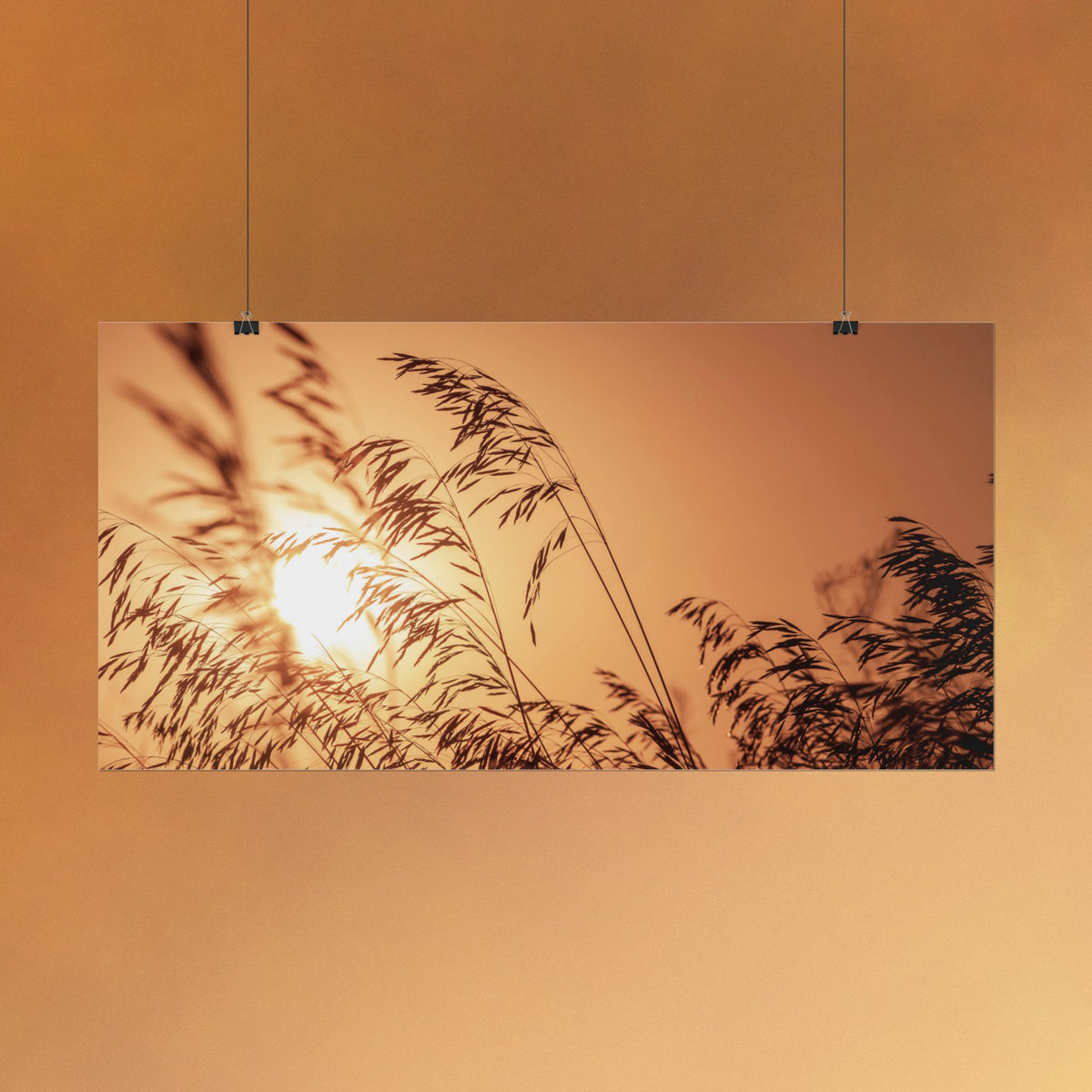 Sunset Reed Poster
