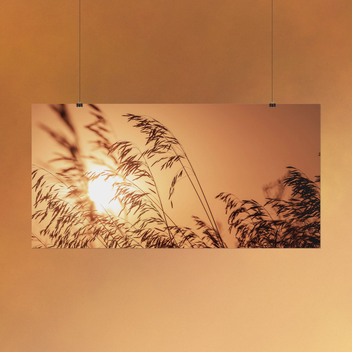 Sunset Reed Poster