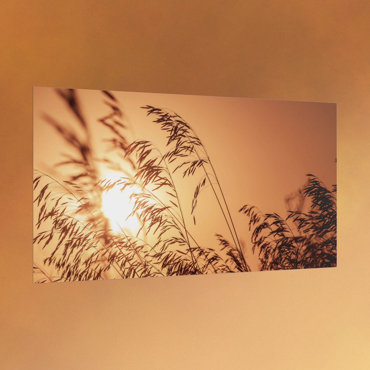 Sunset Reed Poster